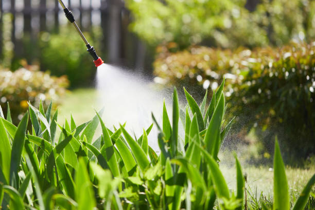 Tamper-Resistant Bait Stations for Rodents in Tusculum