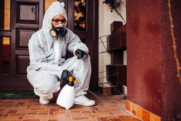 Attic and Crawl Space Rodent Treatment in Tusculum